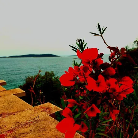 Apartment Slavonia Vis