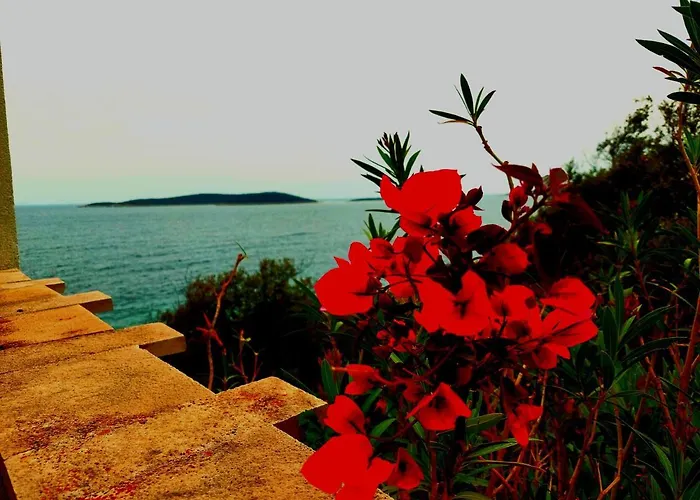 Apartamento Slavonia Vis